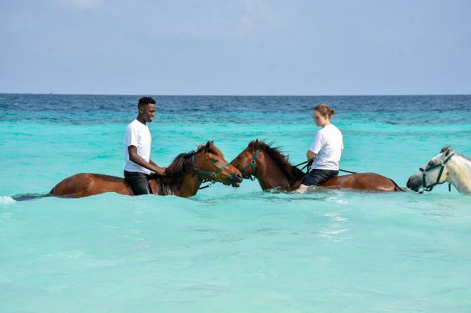 horse riding zanzibar