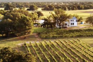 wine tour in fredericksburg