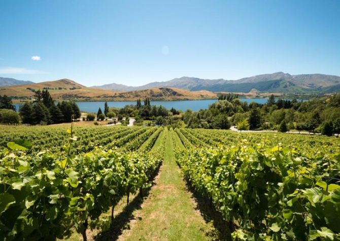 Central Otago cellar door, New Zealand Wine