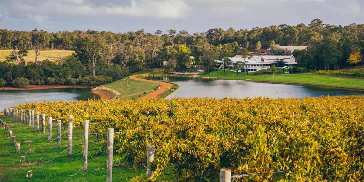 Best Wine tasting tours in Margaret river western Australia