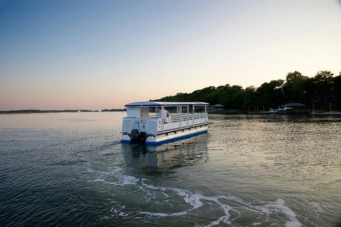 dolphin tour in hilton head