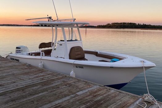 Best fishing charters Hilton head 