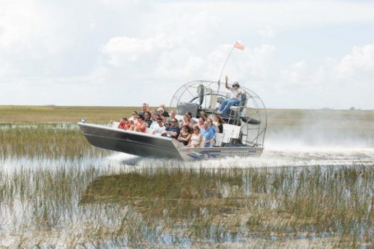 Best Best airboat tours/rides in Everglades national park