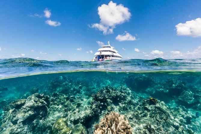 diving in great barrier reef