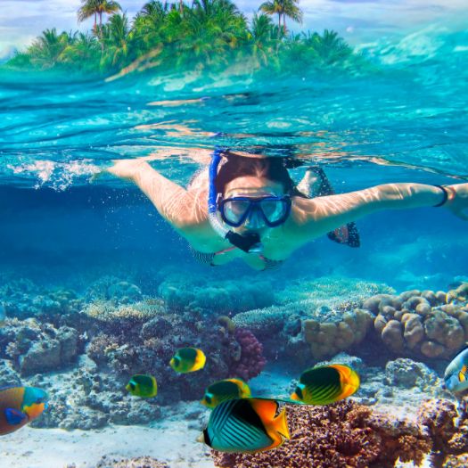 Mnemba snorkeling tour available daily with multi - language guides