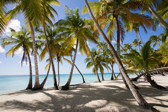 isla saona tour