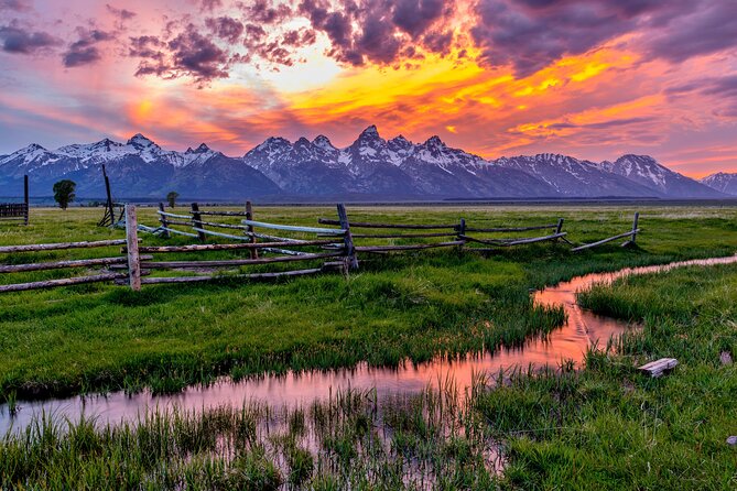 Yellowstone tours from Jackson hole