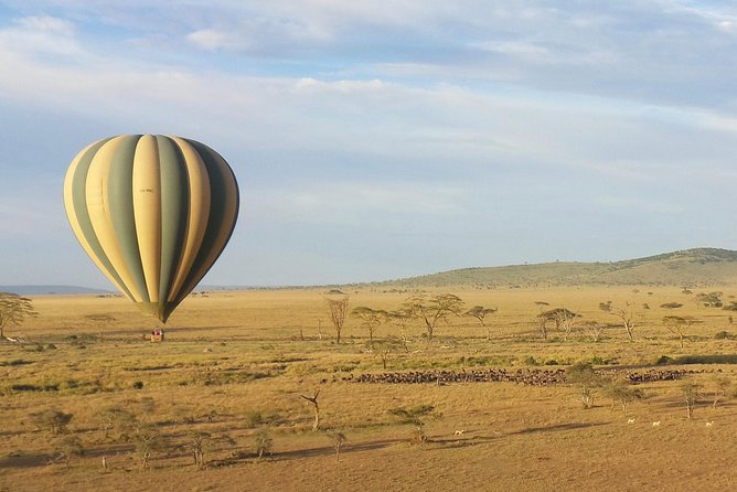 balloon safari serengeti