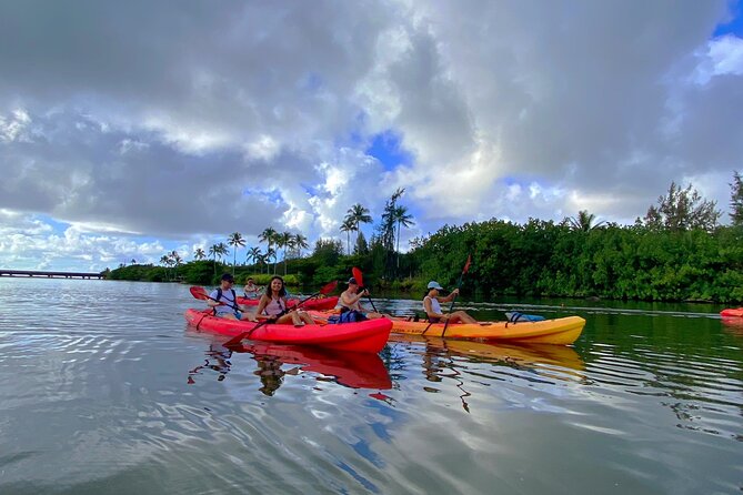 kayak tours in kauai