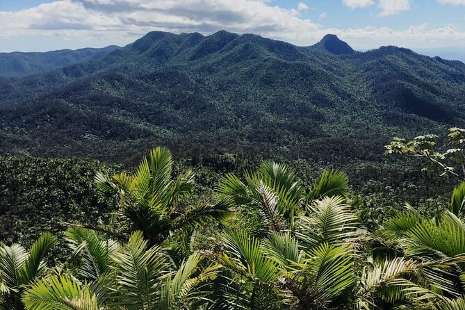 el yunque rainforest tour