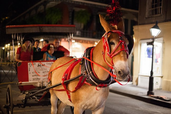 New Orleans horse carriage tours